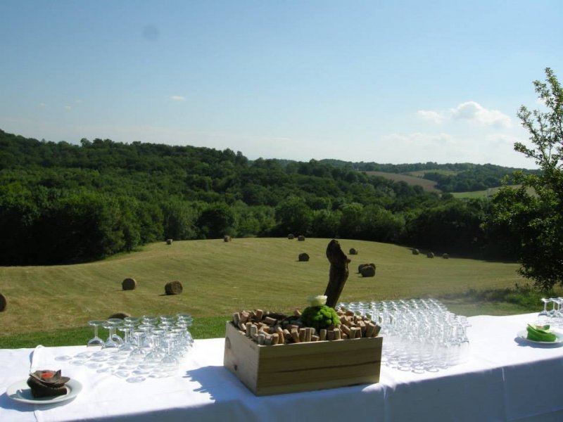 Domaine de Tilh_64300 LOUBIENG_10